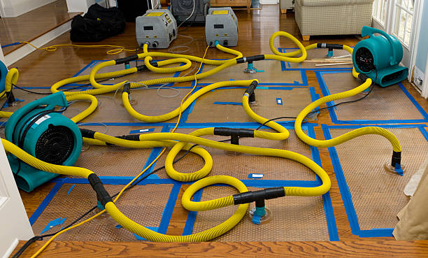 Professional Water Extraction technician working in Buxton, NC
